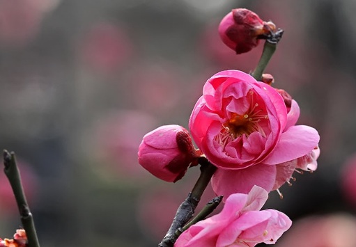 1628553128309993.jpg image.jpg