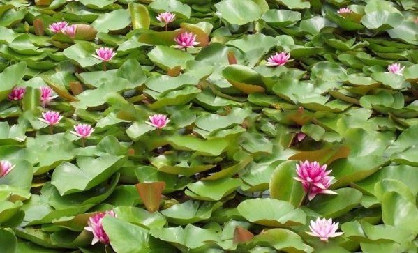 1628587289311370.jpg 1628587281(1).jpg