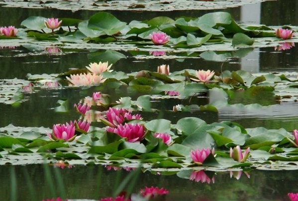 1628587304217732.jpg 1628587296(1).jpg