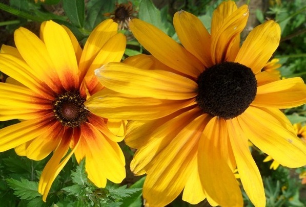 1628588593799556.jpg 1628588582(1).jpg