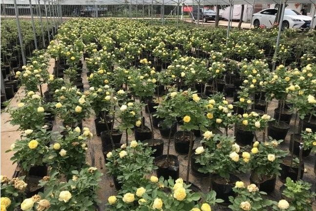 1628600492918225.jpg 1628600482.jpg