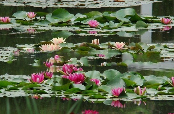 1628600571399234.jpg 1628600561(1).jpg