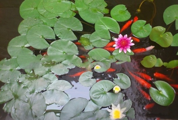 1628665447590362.jpg image.jpg