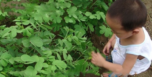 1628667959561776.jpg image.jpg