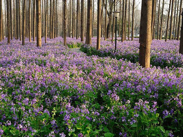 1628668985651657.jpg image.jpg