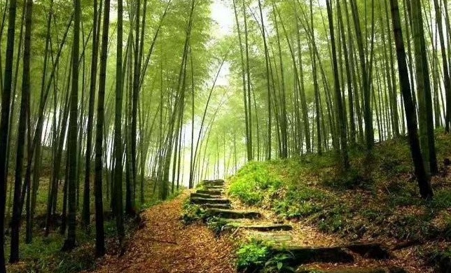 1628669330894511.jpg image.jpg