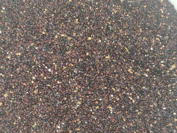 1628670294590350.jpg image.jpg