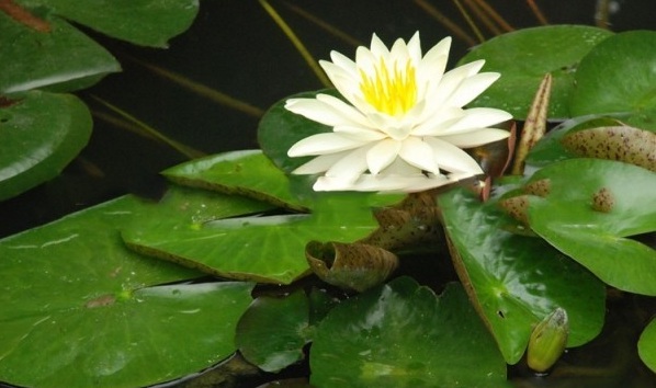 1628671700202781.jpg image.jpg