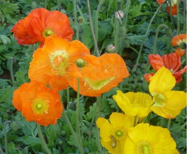 1628772407532150.jpg 1628772381(1).jpg