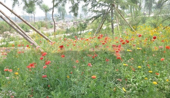 1628773431277057.jpg 1628773416(1).jpg