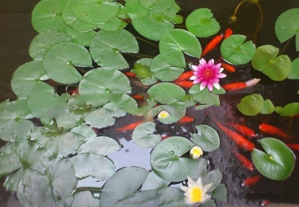 1628774078989372.jpg 1628774059(1).jpg