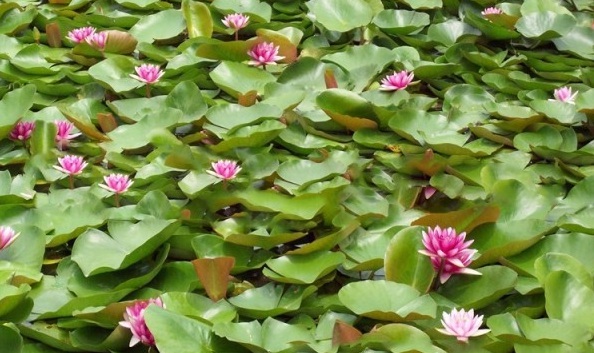 1628774111858061.jpg 1628774090(1).jpg