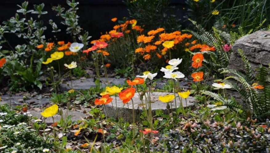 1628778243797591.jpg UY0{UAJ8U5U`}YH_1AL@YYJ.jpg