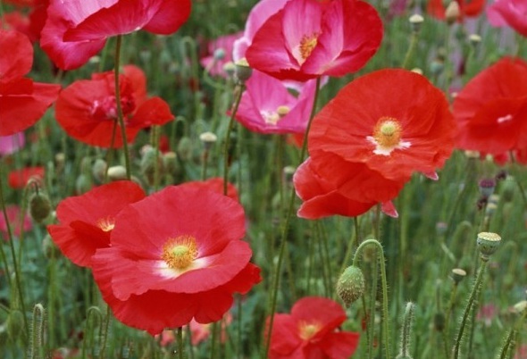 1628778291434043.jpg _F[D7YMIR62EL6(IK}6MOTQ.jpg