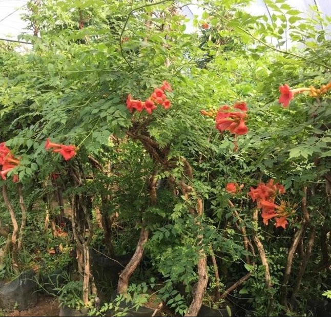 1628781339660900.jpg Q0F`(N3Z_3FFH@}KUGMDJ6H.jpg