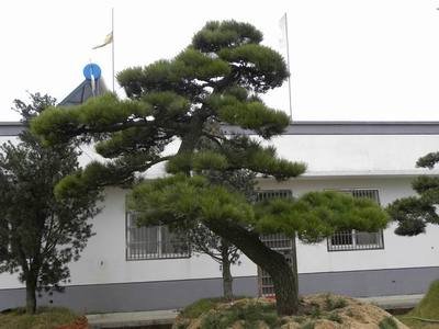 1628854176164118.jpg 1628854176164118.jpg