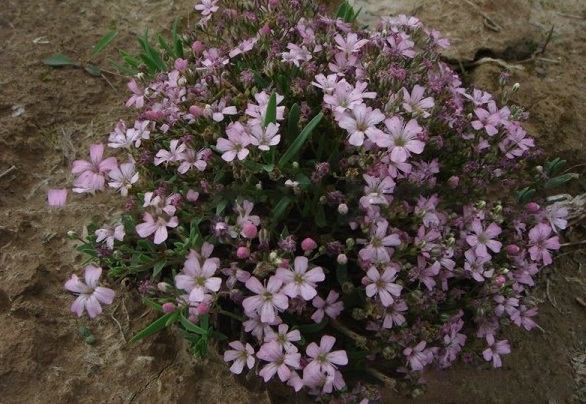 1628855706330115.jpg 1628855698(1).jpg