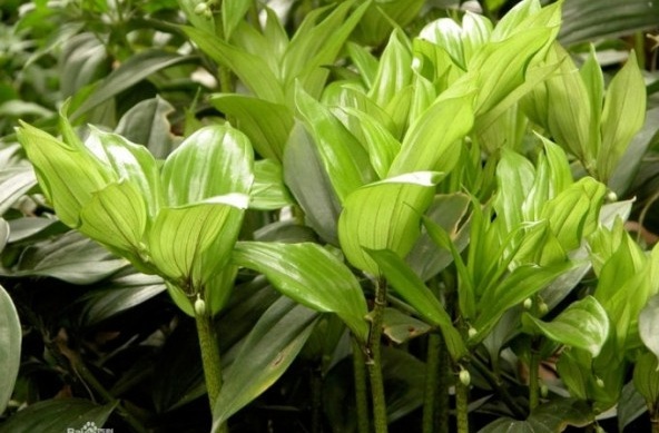 1628856169578525.jpg 1628856164(1).jpg