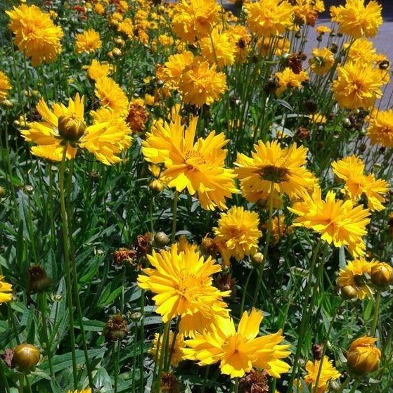 1628856416570698.jpg 1628856411(1).jpg