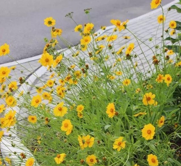 1628856449395403.jpg 1628856442(1).jpg