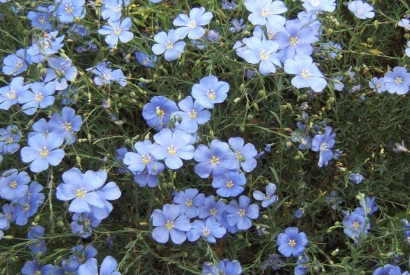 1628857013369475.jpg 1628857006(1).jpg