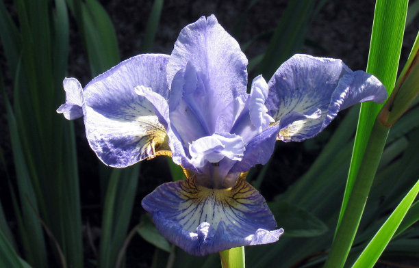 1628857015538405.jpg 1628857015538405.jpg