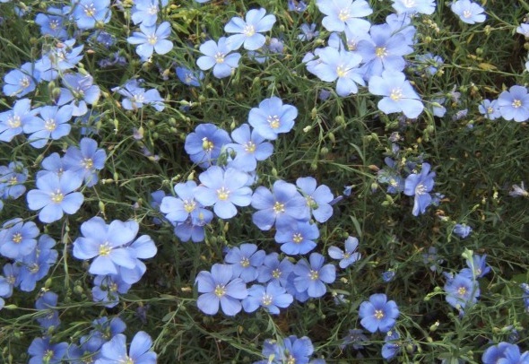 1628857029200590.jpg 1628857023(1).jpg