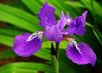 1628857032888755.jpg 1628857032888755.jpg