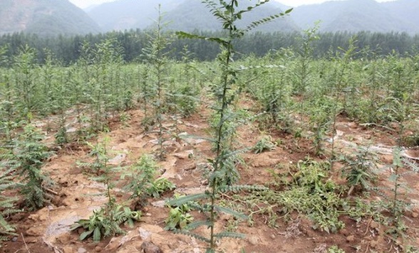 1628859407193148.jpg 1628859392(1).jpg