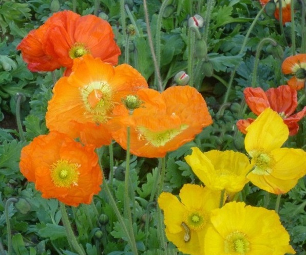 1628861472462172.jpg 1628861464.jpg