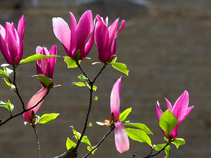 1628862289621178.jpg image.jpg