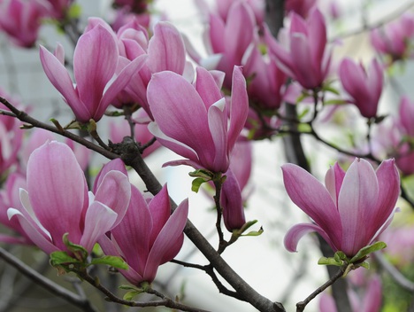 1628862313196435.jpg image.jpg