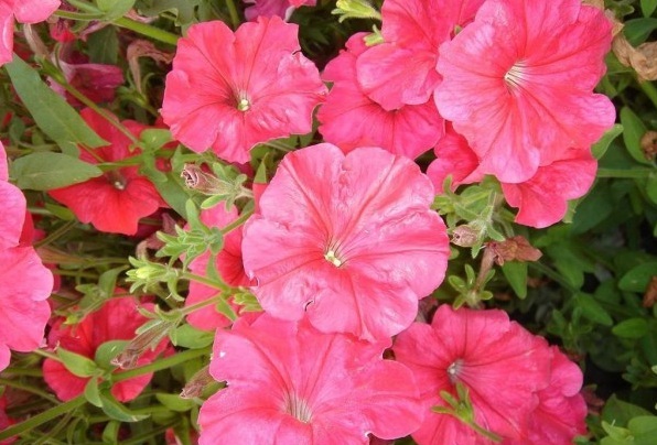 1628917767396937.jpg 1628917754(1).jpg