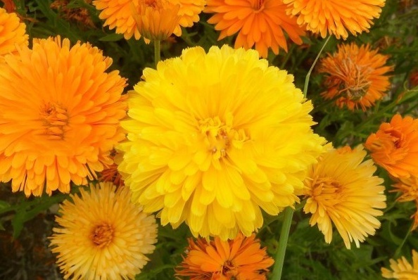 1628919462656949.jpg 1628919453(1).jpg