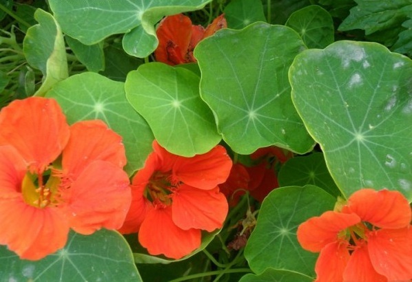 1628920353315511.jpg 1628920344(1).jpg