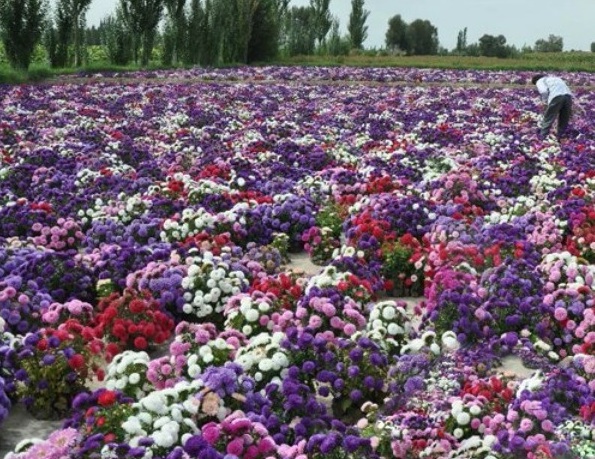 1628920814977747.jpg 1628920809.jpg