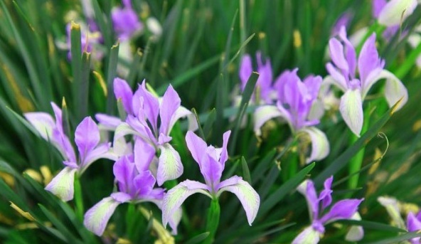 1628921240475623.jpg 1628921233(1).jpg