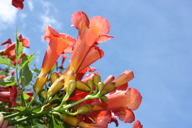 1628938049195089.jpg beae566419f36661d50fc1fc4dd84a85_t0107b5047e56779e9a.jpg