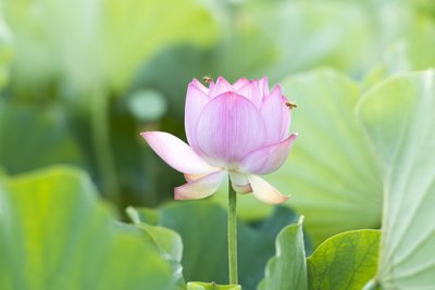 1629027511156879.jpg 1629027511156879.jpg