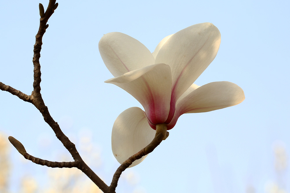 1629028718696168.jpg 1629028718696168.jpg