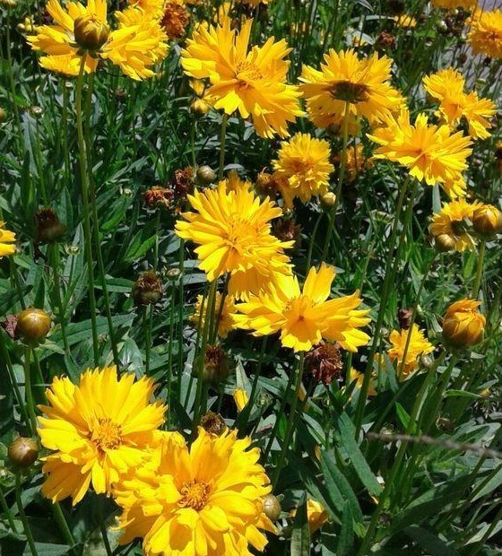 1629100434936428.jpg 1629100430(1).jpg