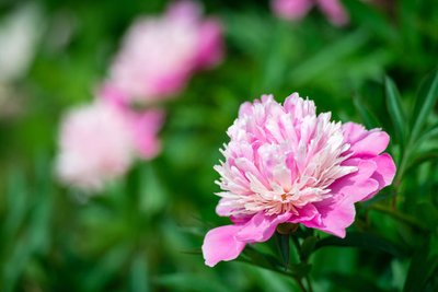 1629113798658602.jpg 1629113798658602.jpg