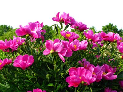 1629113817942334.jpg 1629113817942334.jpg