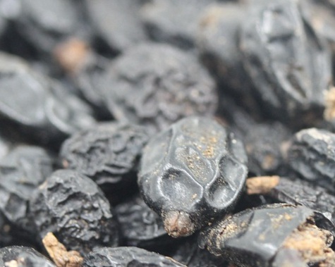 1629122884800433.jpg image.jpg