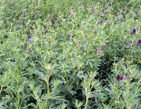 1629123021479663.jpg image.jpg