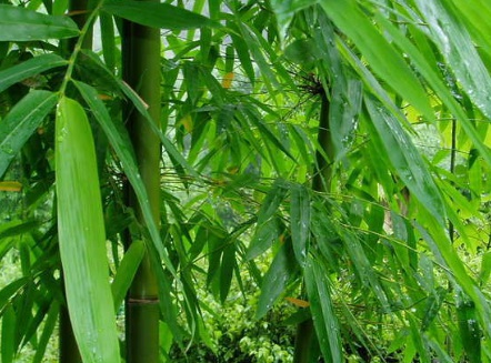 1629123736793496.jpg image.jpg