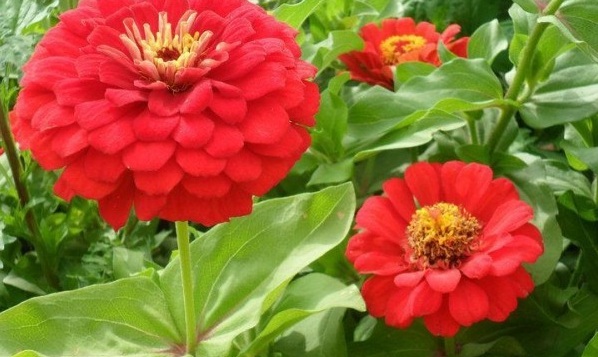 1629193005795652.jpg 1629193000(1).jpg