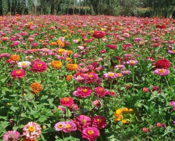 1629193021447032.jpg 1629193017(1).jpg