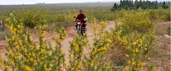 1629193266791359.jpg 1629193264(1).jpg