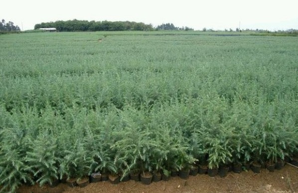 1629199018616193.jpg 1629199014(1).jpg